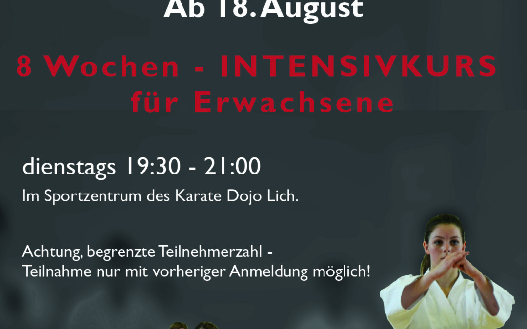 Online-Einsteigerkurs